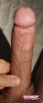 Nikaia06700 recently uploaded picture