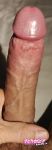 Nikaia06700 recently uploaded picture