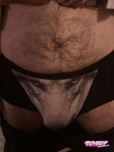 cock of StanDuby