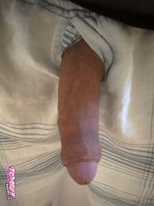 cock of Smallcocklover