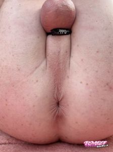 ass of Smoothassguy