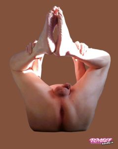ass of Jamanaz