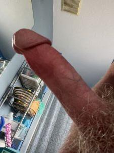 cock of AM7