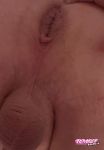 Bi40Us recently uploaded picture