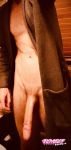 Italcock recently uploaded picture