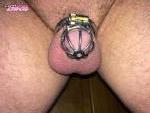 Lockedcock recently uploaded picture