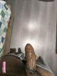 Hornyboi recently uploaded picture