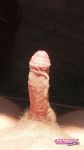 Bruno_brod recently uploaded picture