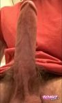 Trygg82