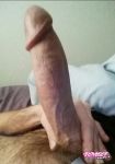 Wardja7456
