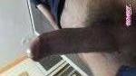 Shanki