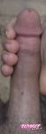 Tevv