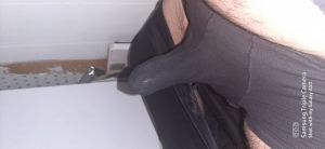 Wild7755's Cock image
