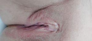 Boobies4girls's Pussy image