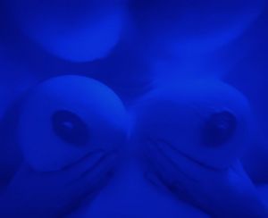 APW1978's Boobs image