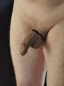 Le30xxx's Cock image