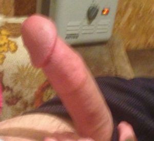 Ladyandthetramps's Cock image