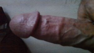 Ladyandthetramps's Cock image