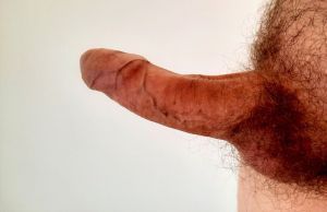 Plbl321's Cock image
