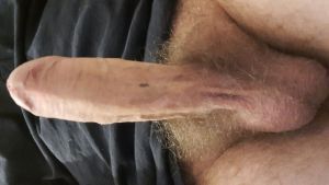Plbl321's Cock image