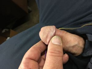 Jd-23's Cock image