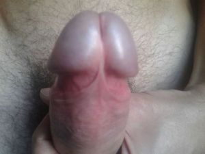 Pulligone's Cock image