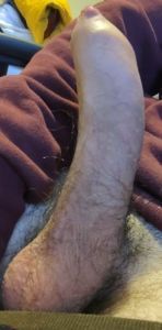 HornyMickieDevil's Cock image
