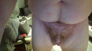 Tanaka2687's Cock image