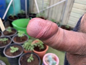 Cockwobble's Cock image
