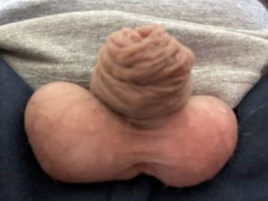 Kidster's Cock image