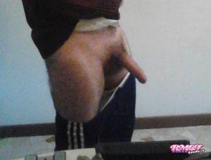 Thefofo's Cock image