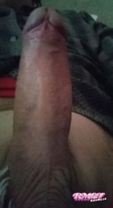Tshan334's Cock image