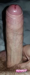 Hornyguy69clc's Cock image