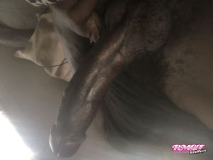 Kao's Cock image