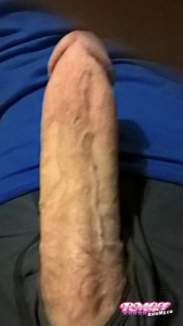 Trygg82's Cock image