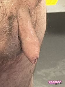 Petebudo's Cock image