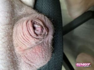 Tinysub's Cock image