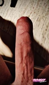 Donpippo's Cock image