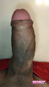 Sendpussy's Cock image