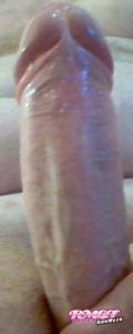 Hornyguy69clc's Cock image