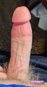 glennb's Cock image
