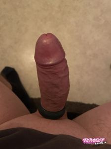 Justadud's Cock image