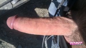 Chimpo69inches's Cock image