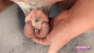_Keinerfeigling_'s Cock image