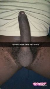 Rate Cock picture of HSSophomore202415 HSSophomore202415's Cock image