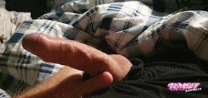Sexlog's Cock image