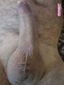 Sexlog's Cock image