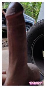 Masterb8er's Cock image