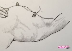 glennb's Boobs image