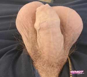 Fat-N-Nasty's Cock image